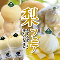 今年も登場！阪中農園の高級梨フェア！完熟の幸水と豊水の甘みをお楽しみください！