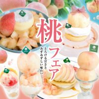 いよいよ明日開幕！全国からお客様が訪れる桃フェア2026がはじまります🍑